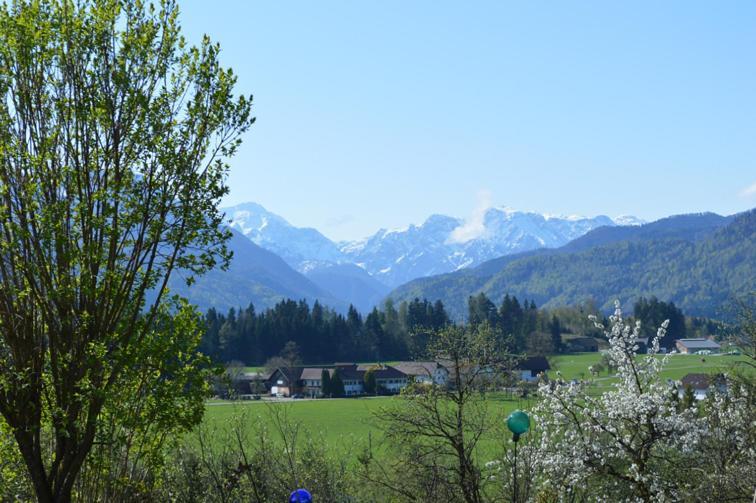 Pension Schindlau Scharnstein Dış mekan fotoğraf